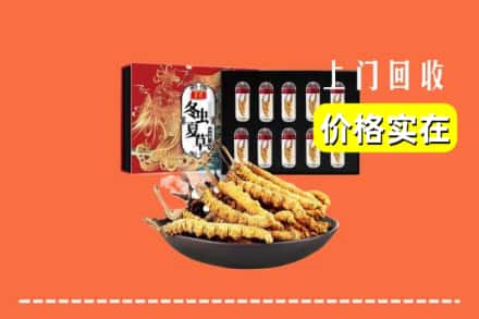 秦皇岛昌黎县回收冬虫夏草